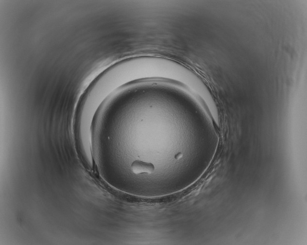 X0000113310292200910051110