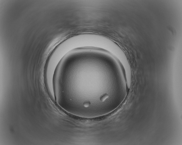 X0000113310293200910051110