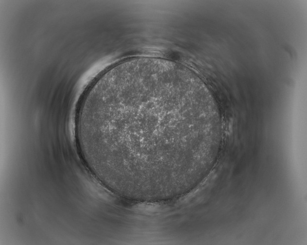 X0000113310294200910051110