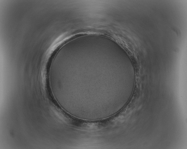 X0000113310295200910051110