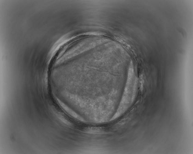 X0000113310296200910051110