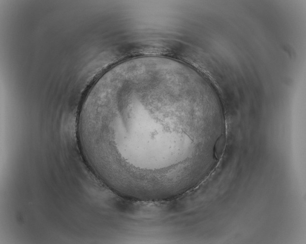 X0000113310297200910051110