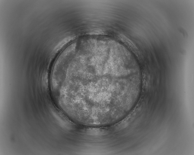 X0000113310298200910051110