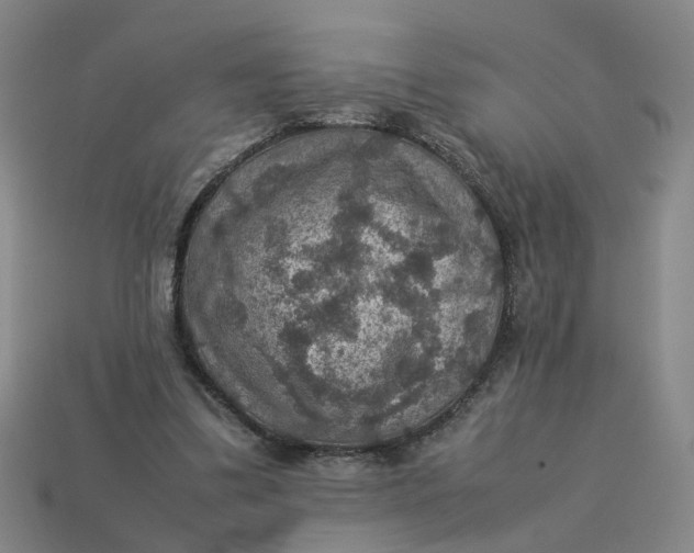 X0000113310299200910051110