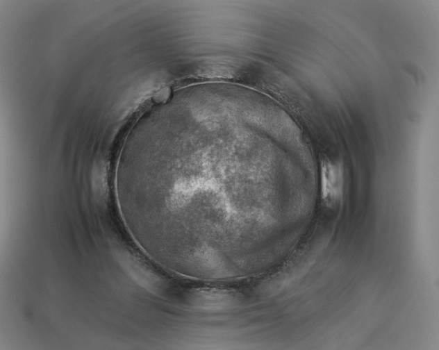 X0000113310300200910051110