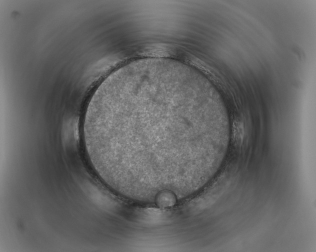 X0000113310302200910051110