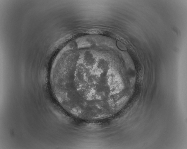 X0000113310303200910051110