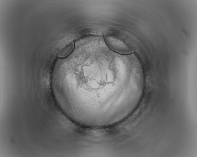 X0000113310305200910051110