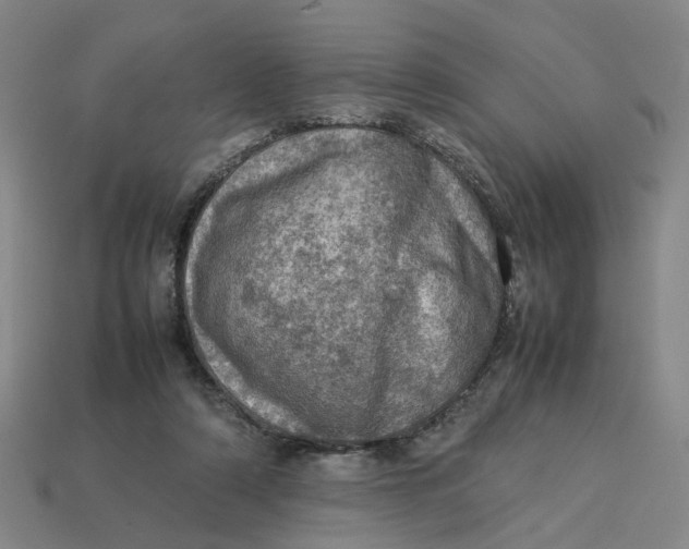 X0000113310306200910051110