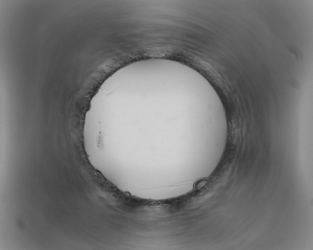 X0000113310307200910051110