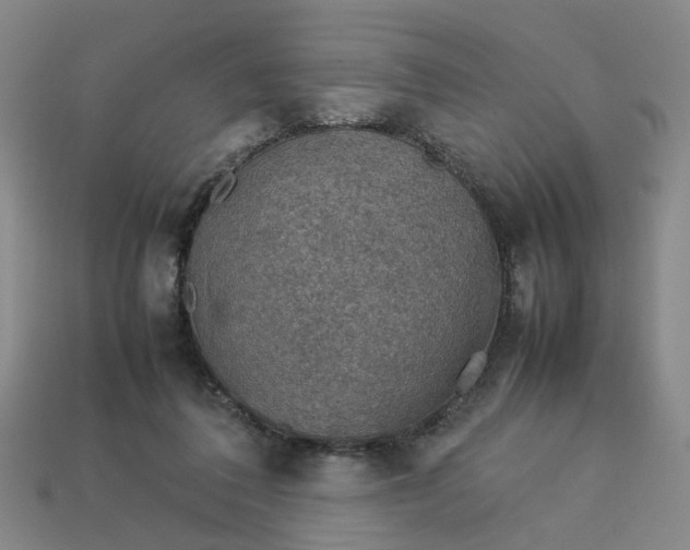 X0000113310308200910051110