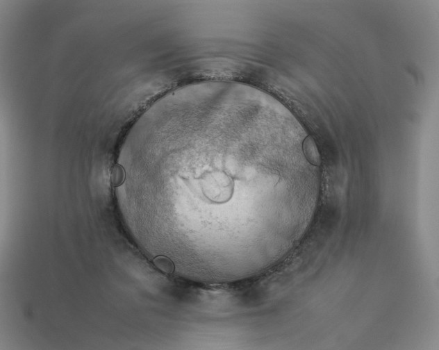 X0000113310309200910051110