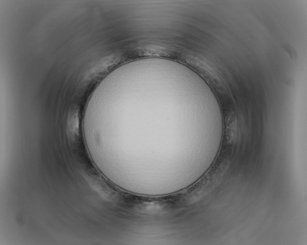 X0000113310310200910051110