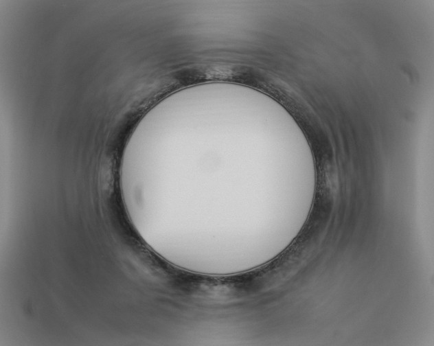 X0000113310311200910051110