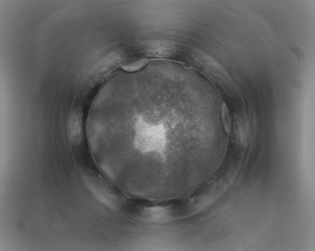 X0000113310312200910051110