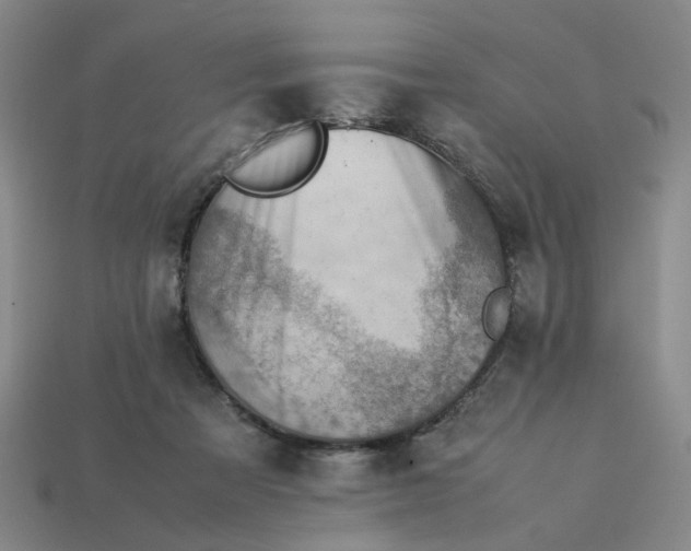 X0000113310313200910051110