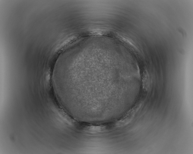 X0000113310314200910051110