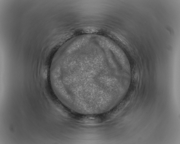 X0000113310315200910051110