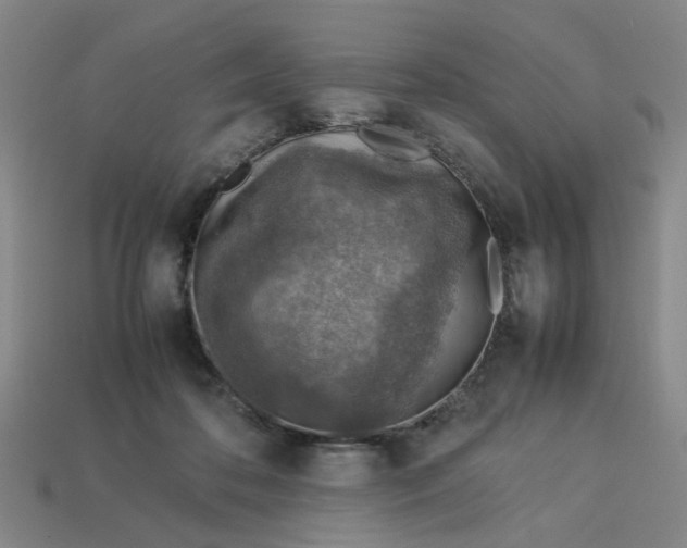 X0000113310316200910051110