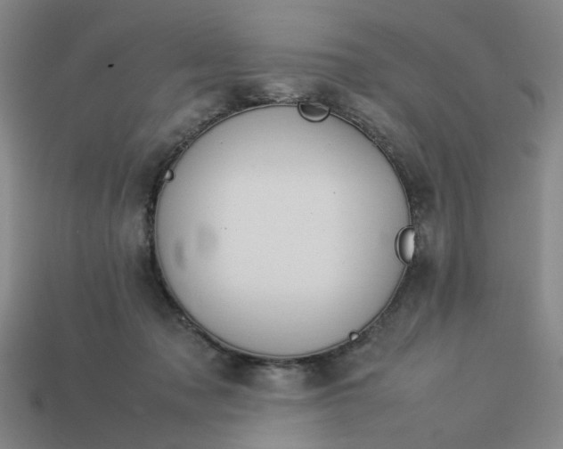 X0000113310317200910051110