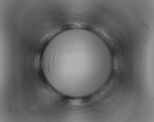 X0000113310318200910051110