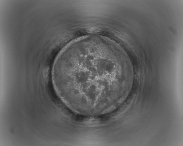 X0000113310319200910051110