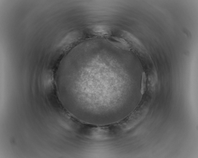 X0000113310320200910051110