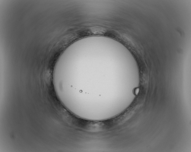 X0000113310321200910051110