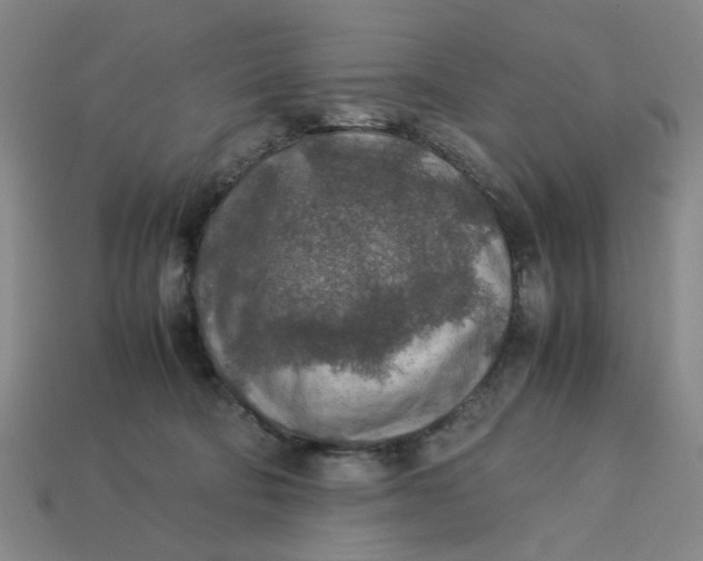 X0000113310322200910051110