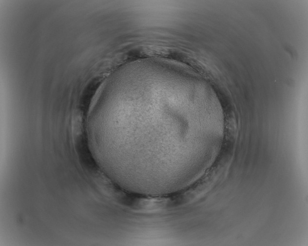 X0000113310323200910051110