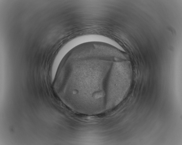 X0000113310324200910051110