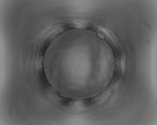 X0000113310325200910051110