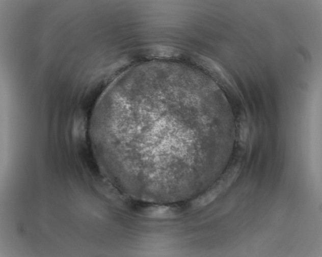 X0000113310326200910051110