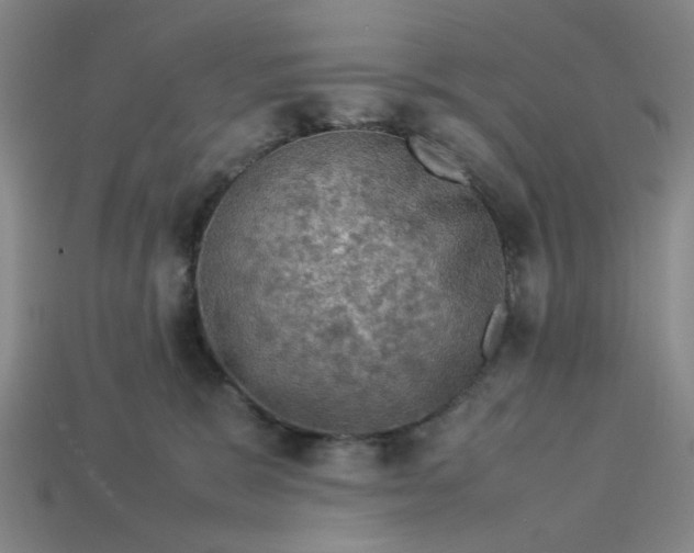 X0000113310327200910051110