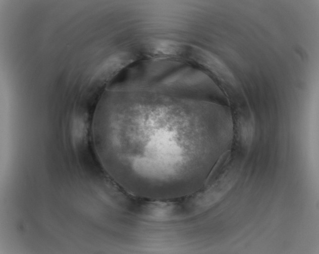 X0000113310328200910051110