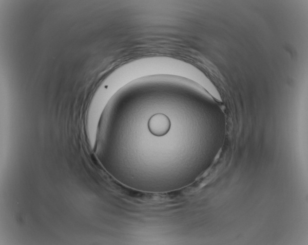 X0000113310329200910051110