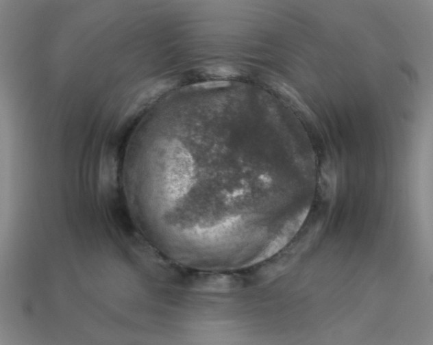 X0000113310330200910051110