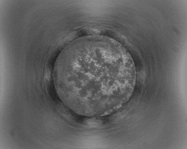 X0000113310331200910051110