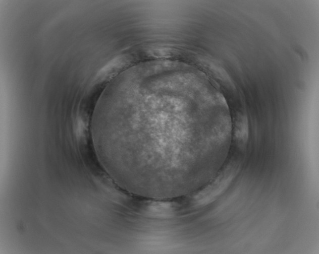 X0000113310332200910051110