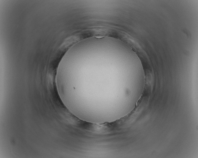 X0000113310333200910051110