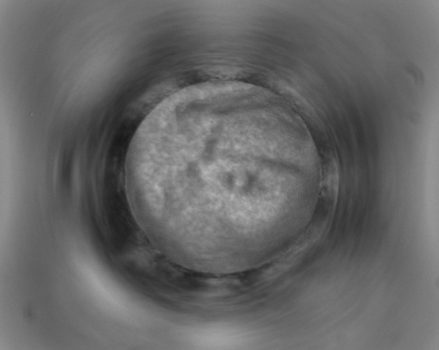 X0000113310334200910051110