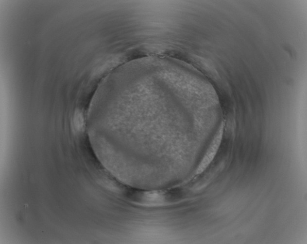 X0000113310335200910051110