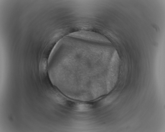 X0000113310336200910051110