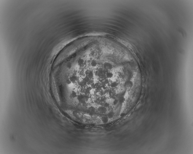 X0000113310337200910051109