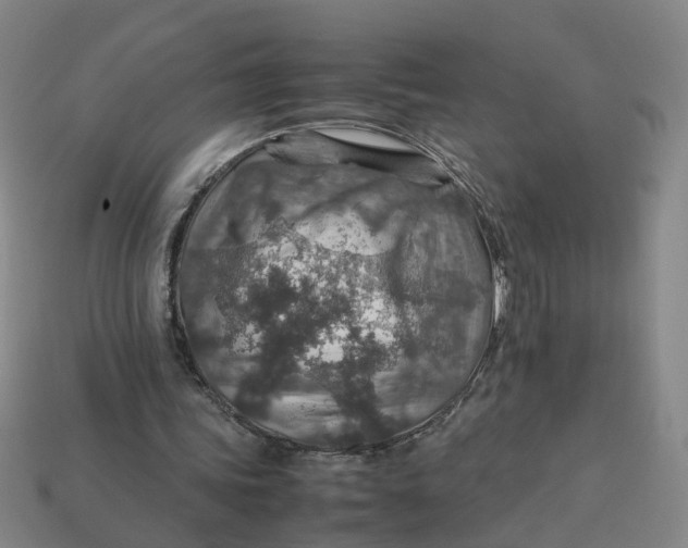 X0000113310339200910051109