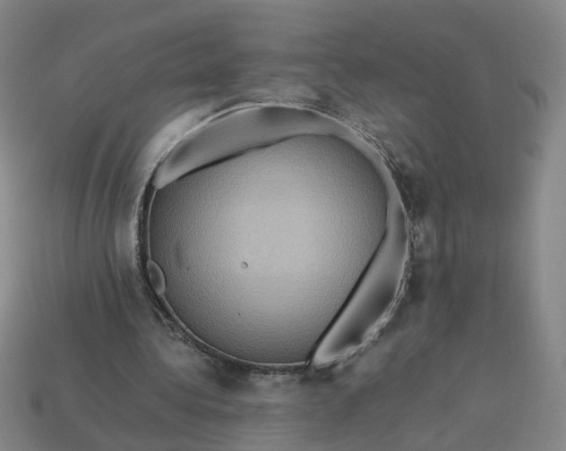 X0000113310340200910051109