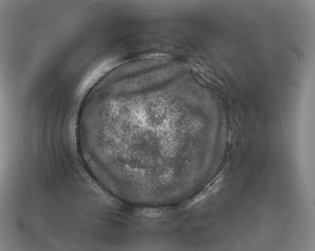 X0000113310341200910051109