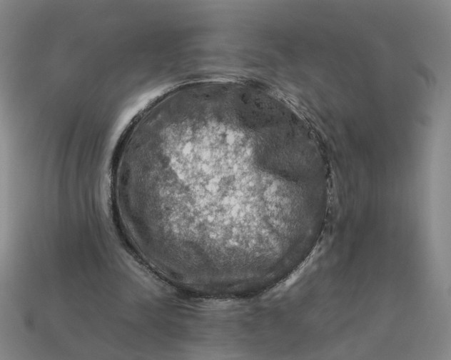 X0000113310342200910051109