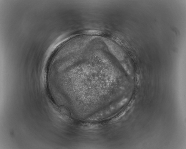 X0000113310343200910051109