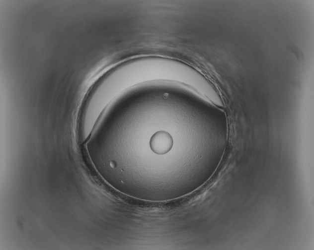 X0000113310344200910051109